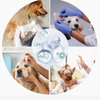 Manufacture Food Grade 120PPM Antimicrobial Nano Colloidal Silver Spray Private Label For Pets Skin Care Treatment